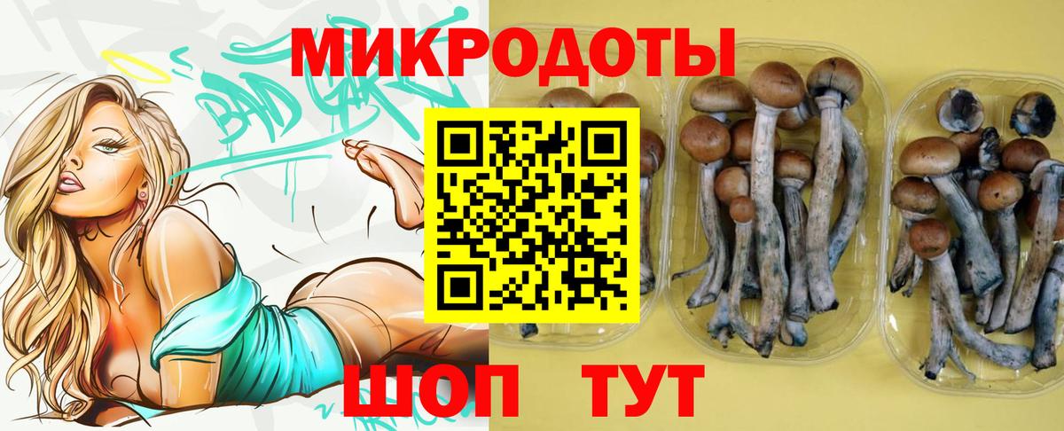 Галлюциногенные грибы мухоморы Усть-Илимск
